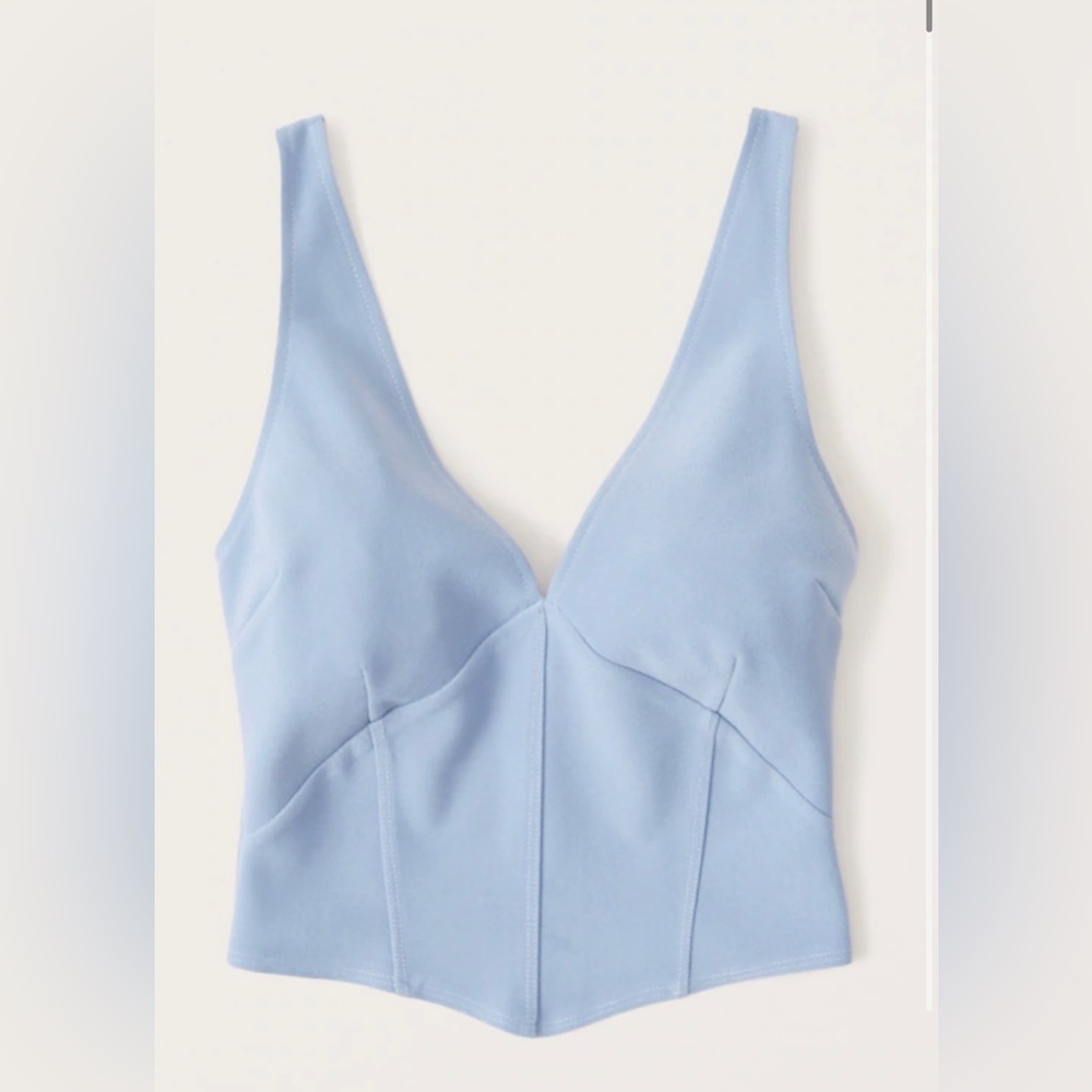 Abercrombie & Fitch Plunge Corset Top NWOT